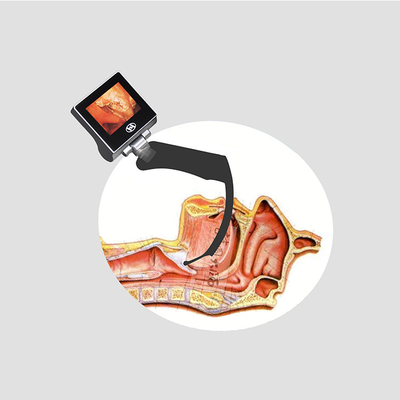 Laryngoscope vidéo réutilisable 8G SD CARD